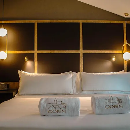 Otel Goien Boutique Bilbao